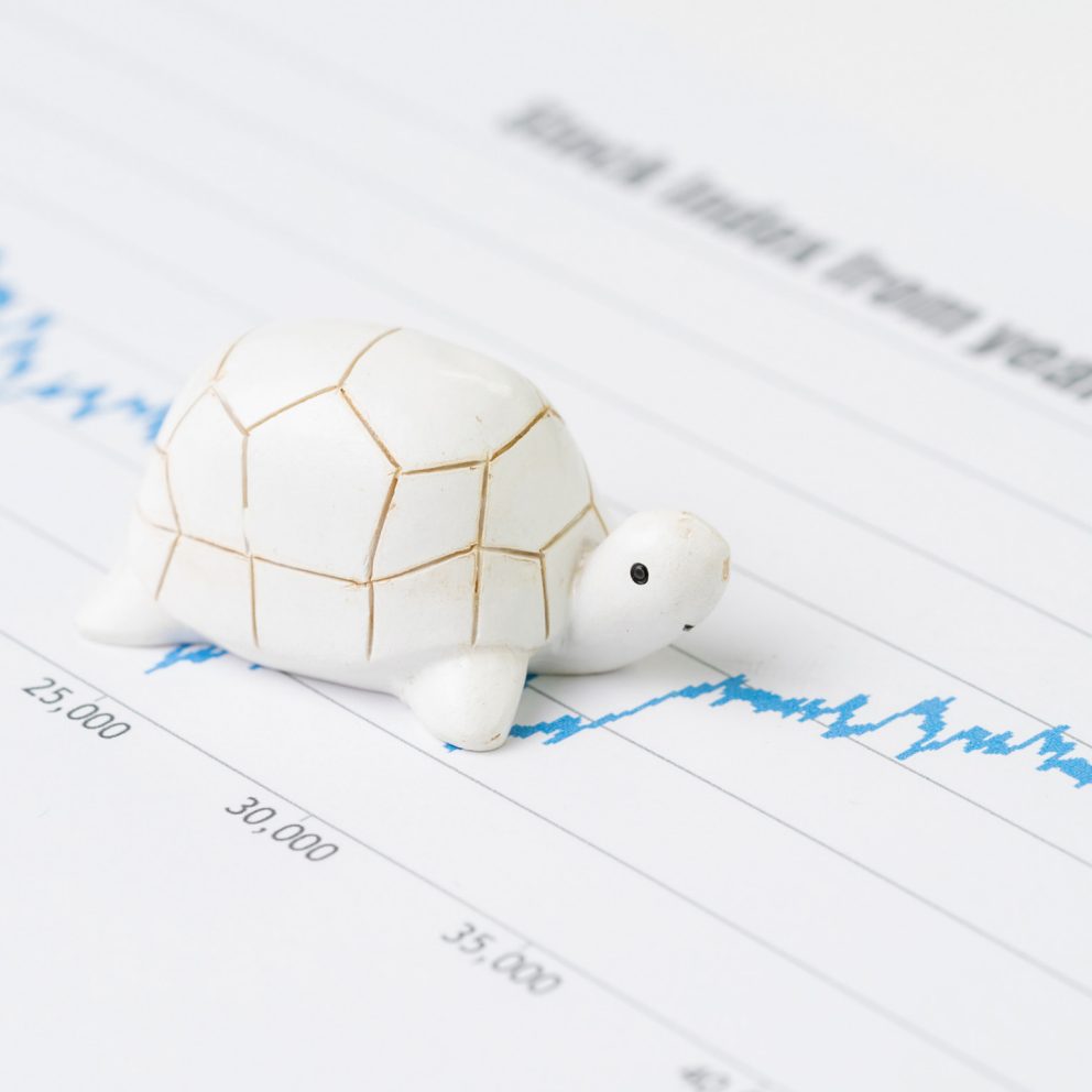 Slow Finance, nuestra forma de entender las inversiones